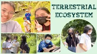 ศึกษาระบบนิเวศ @บางใบไม้