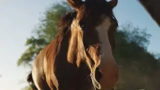 La Soleada | El equilibrio perfecto entre naturaleza y confort.