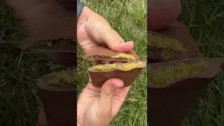 Viral Dubai Pistachio Chocolate Bar .
