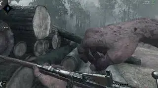 Синее Пламя - HUNT: Showdown
