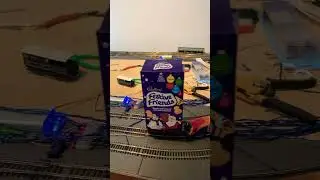 Biscuit of the week