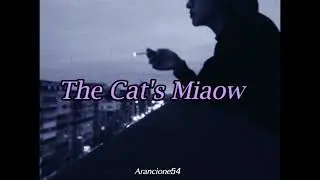 The Cat's Miaow - Third floor fire escape view (Sub Español) w/ lyrics