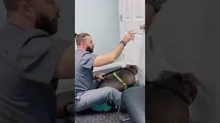 #animals #vet #cute