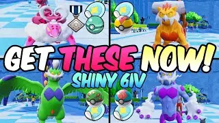 Get all 4 SHINY Forces of Nature with 6IVs and Ability Patches NOW in Pokemon Scarlet Violet