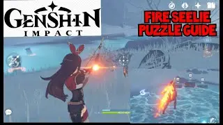 Seelie Puzzle Guide | Genshin Impact