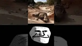 Yo a los 9 años 😿 Trollface Sad meme #shorts #memes