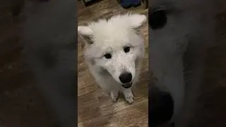 Верните зиму 🤣 