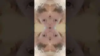 25 июня 2024 г.