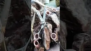Ножницы MOTCHANY новая коллекция