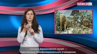 МИР ГЛУХИХ: Дарвиновский музей для всех
