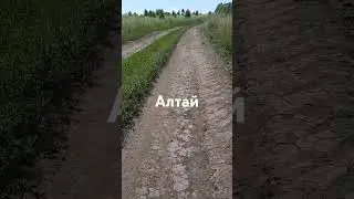 27 июня 2024 г.