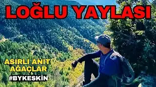 Loğlu Yaylası #loğluyaylası #bykeskin #kahramanmaraş