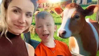 Kids Family Farm Adventures / Baby Piggies / Cow Giving Birth / Giant Scary Slides