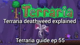 terraia deathweed explained, terraria guide ep 55.