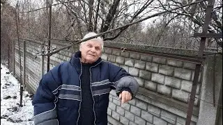 Перепрививка фруктовых деревьев. Интересный факт влияния подвоя на привой