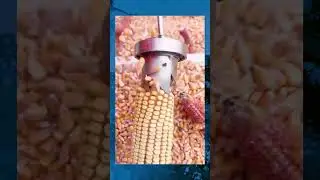 Секретный способ как почистить кукурузу