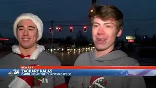 The gift that keeps growing: The Toledo Christmas Weed