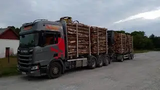 Timber loading/driving. Birch pulpwood