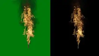 Green Screen Tree Burning in 4K