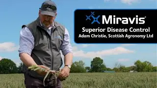Superior cereal disease control with MIRAVIS®