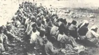 The Armenian Genocide