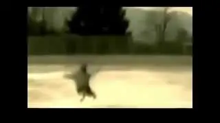 Смешное видео
