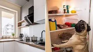 16 Small Kitchen Organization DIYs So Good, You'll Wish You Knew Sooner