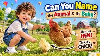 Can You Name the Animal & Its Baby? 🐔🐥 | Fun Animal Learning for Kids