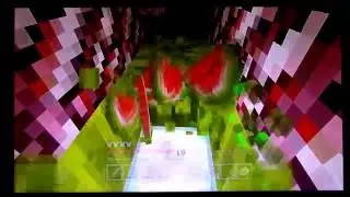 Minecraft - Wallfey Flat Challenge (3) 