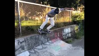 Go skate day 2020