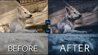 Normal to Cinematic looking 😎 | Before and After Pt 1