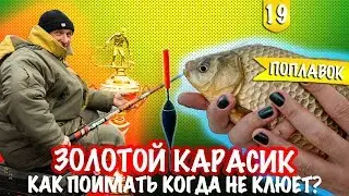 ЗОЛОТОЙ КАРАСИК. ЛОВЛЯ НА ПОПЛАВОК ВЕСНОЙ. СОРЕВНОВАНИЯ ГЛАЗАМИ ОРГАНИЗАТОРОВ.