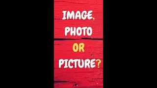 Image, Picture & Photo #difference #shorts