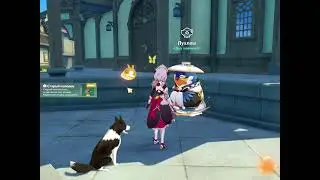 Genshin Impact. Домовладение I Чайник безмятежности. Разбираемся в механике.