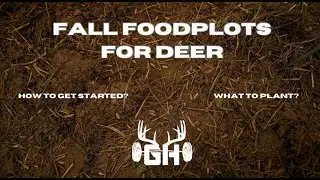 Whitetail Strategy // Fall Food Plots for Deer // GUNNAR HANSON