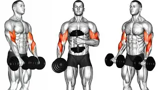 Grow Bigger Arms Fast: 4 in 1 Workout for Forearms, Biceps, Triceps & Shoulders