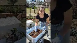 Установка своими руками, чтобы не поливать растения. 