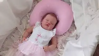 Gorgeous Quinbee and a New Stunning Nursery Canopy!!