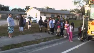 School Bus Flashing Lights Safety