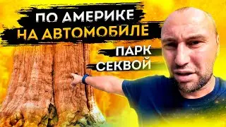 Путешествие по США на Автомобиле. Парк Секвой, Калифорния