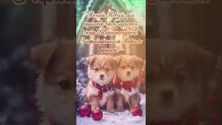 З Прийдешнім НОВИМ РОКОМ 2024 #shortvideo #шортс #новийрік2024 #зприйдешнімновийроком