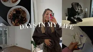 Big News, Wir ziehen wieder um, Deep Talk & Haul // 3 DAYS IN MY LIFE