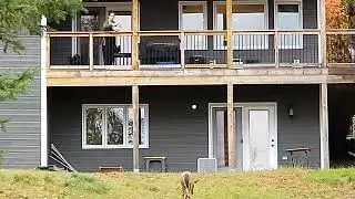 Feeding a deer from balcony, near Toronto