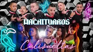 DJ JUAN-MIX CUMBIA TURRA 2012(LOS WACHITURROS,CULISUELTAS,NENE MALO,LA FABRI-K)