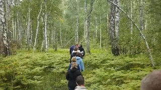 В Кургане открыли экологическую тропу «Зауральский лес»
