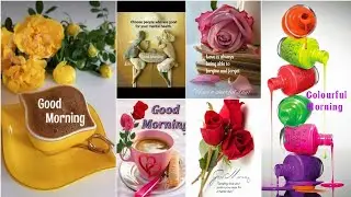 subha bakhair wishes || good morning dpz || good morning 🌞|| latest good morning wishes ||