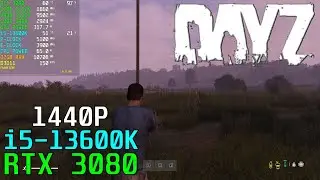 DayZ RTX 3080 & 13600K - Custom 1440P