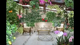 Interior Design.  Ideas for creating a winter garden in the house.
