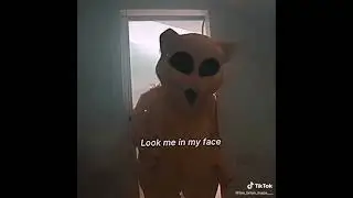 Брайн и Тигра🐱