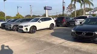 VIP Savannah Vogt